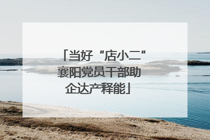 当好“店小二” 襄阳党员干部助企达产释能