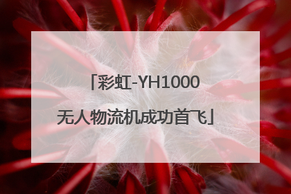 彩虹-YH1000无人物流机成功首飞