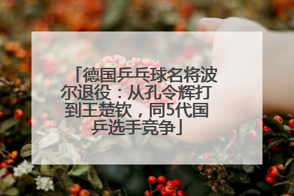 德国乒乓球名将波尔退役：从孔令辉打到王楚钦，同5代国乒选手竞争