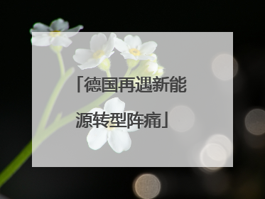 德国再遇新能源转型阵痛