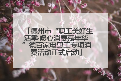 德州市“职工美好生活季·暖心消费嘉年华”德百家电惠工专项消费活动正式启动