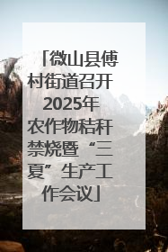 微山县傅村街道召开2025年农作物秸秆禁烧暨“三夏”生产工作会议