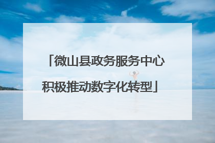 微山县政务服务中心积极推动数字化转型