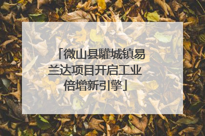 微山县驩城镇易兰达项目开启工业倍增新引擎