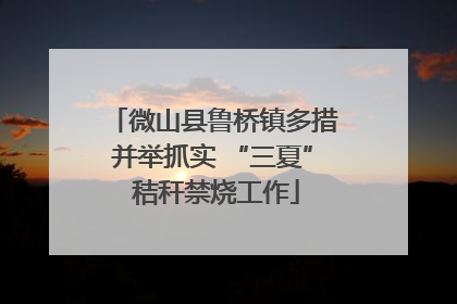 微山县鲁桥镇多措并举抓实 “三夏” 秸秆禁烧工作