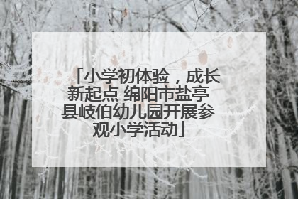 小学初体验，成长新起点 绵阳市盐亭县岐伯幼儿园开展参观小学活动