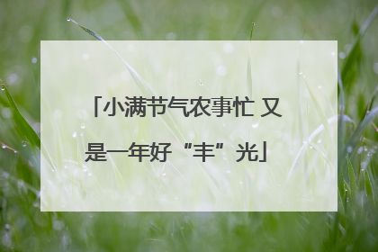 小满节气农事忙 又是一年好“丰”光