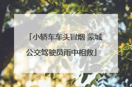 小轿车车头冒烟 蒙城公交驾驶员雨中相救