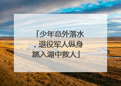少年意外落水，退役军人纵身跳入湖中救人