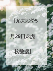 尤夫股份5月29日龙虎榜数据