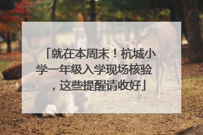 就在本周末！杭城小学一年级入学现场核验，这些提醒请收好