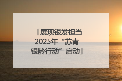 展现银发担当 2025年“苏青银龄行动”启动