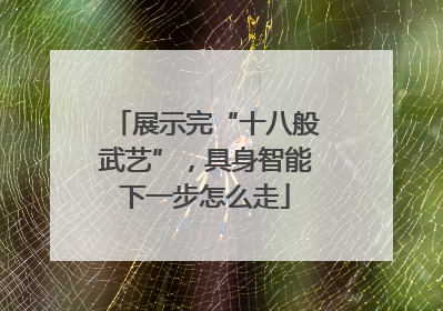 展示完“十八般武艺”，具身智能下一步怎么走