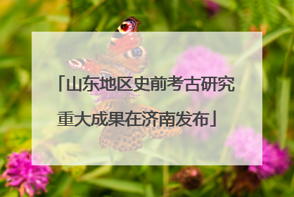 山东地区史前考古研究重大成果在济南发布