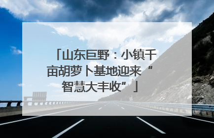 山东巨野：小镇千亩胡萝卜基地迎来“智慧大丰收”
