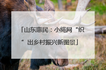 山东惠民：小绳网“织”出乡村振兴新图景