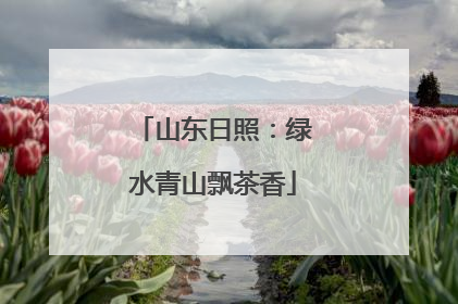 山东日照：绿水青山飘茶香