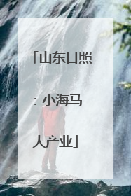 山东日照：小海马 大产业