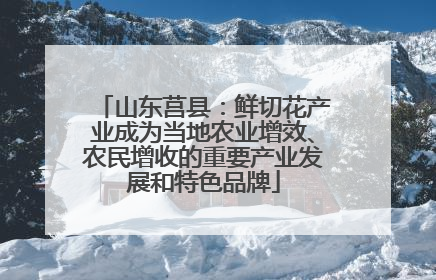 山东莒县：鲜切花产业成为当地农业增效、农民增收的重要产业发展和特色品牌