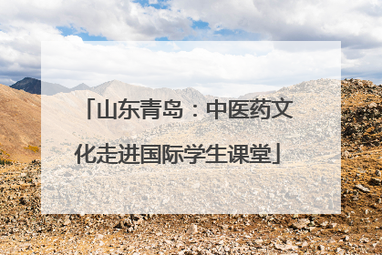 山东青岛：中医药文化走进国际学生课堂