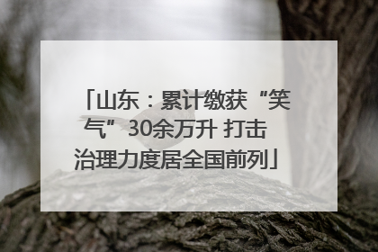 山东：累计缴获“笑气”30余万升 打击治理力度居全国前列