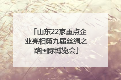 山东22家重点企业亮相第九届丝绸之路国际博览会