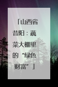 山西省昔阳：蔬菜大棚里的“绿色财富”