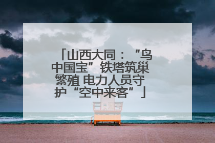 山西大同：“鸟中国宝”铁塔筑巢繁殖 电力人员守护“空中来客”