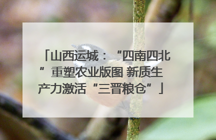 山西运城：“四南四北”重塑农业版图 新质生产力激活“三晋粮仓”