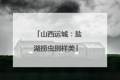 山西运城：盐湖捞虫别样美