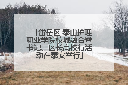 岱岳区 泰山护理职业学院校城融合暨书记、区长高校行活动在泰安举行