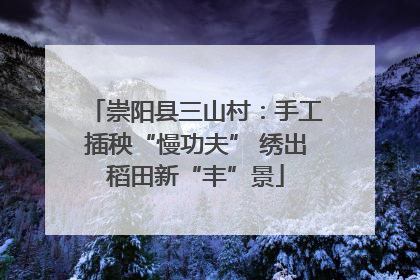 崇阳县三山村：手工插秧“慢功夫” 绣出稻田新“丰”景