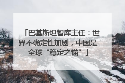 巴基斯坦智库主任：世界不确定性加剧，中国是全球“稳定之锚”