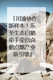 川渝协作新样本！乐至生态白鹅牵手荣昌卤鹅点燃产业新引擎