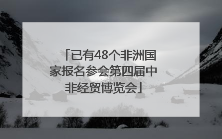 已有48个非洲国家报名参会第四届中非经贸博览会