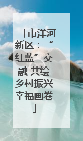 市洋河新区：“红蓝”交融 共绘乡村振兴幸福画卷