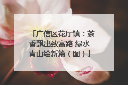 广信区花厅镇：茶香飘出致富路 绿水青山绘新篇（图）