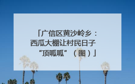 广信区黄沙岭乡：西瓜大棚让村民日子“顶呱呱”（图）