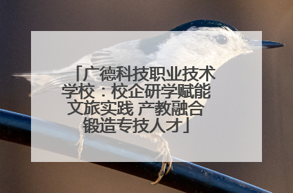 广德科技职业技术学校：校企研学赋能文旅实践 产教融合锻造专技人才