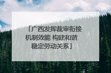 广西发挥裁审衔接机制效能 构建和谐稳定劳动关系