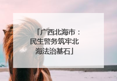 广西北海市：民生警务筑牢北海法治基石