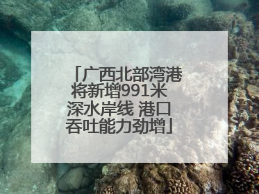 广西北部湾港将新增991米深水岸线 港口吞吐能力劲增
