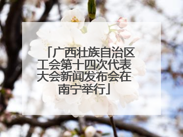 广西壮族自治区工会第十四次代表大会新闻发布会在南宁举行