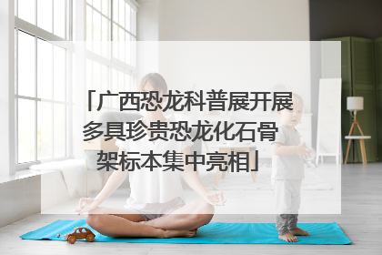 广西恐龙科普展开展 多具珍贵恐龙化石骨架标本集中亮相