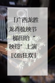 广西龙胜龙脊梳秧节 梯田抬“秧母”上演民俗狂欢