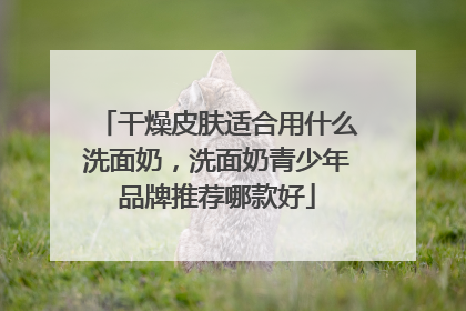 干燥皮肤适合用什么洗面奶，洗面奶青少年品牌推荐哪款好