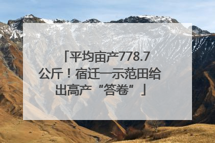 平均亩产778.7公斤！宿迁一示范田给出高产“答卷”