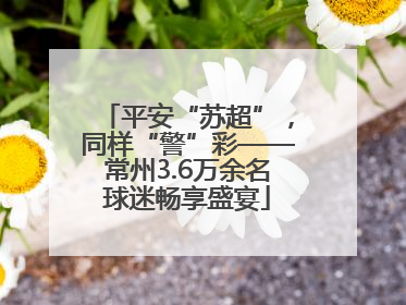 平安“苏超”，同样“警”彩——常州3.6万余名球迷畅享盛宴