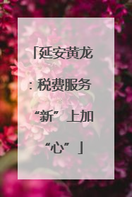 延安黄龙：税费服务“新”上加“心”