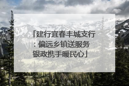 建行宜春丰城支行：偏远乡镇送服务 银政携手暖民心